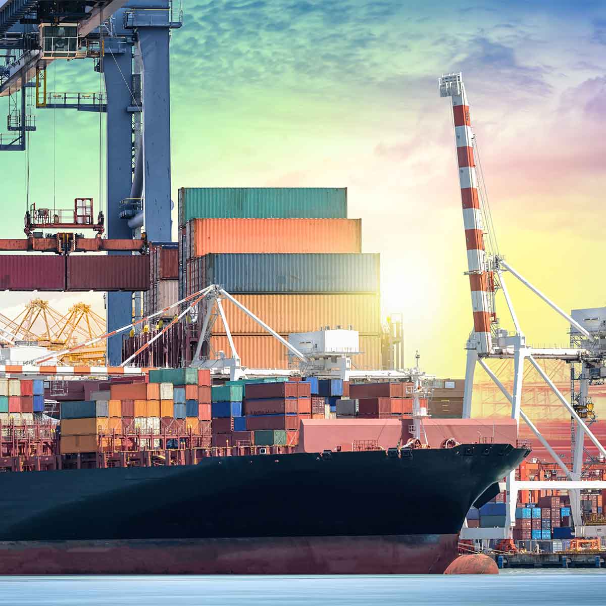 Trade Credit
