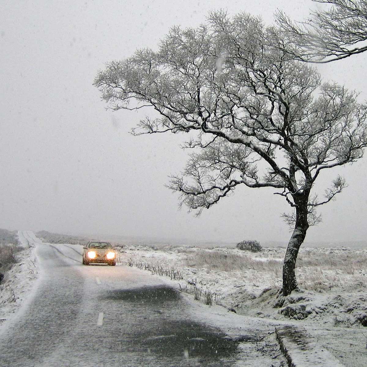 Winter Driving