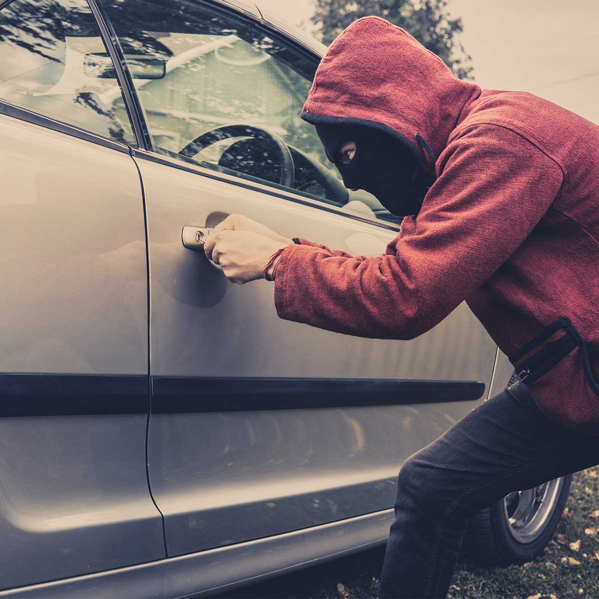 car theft