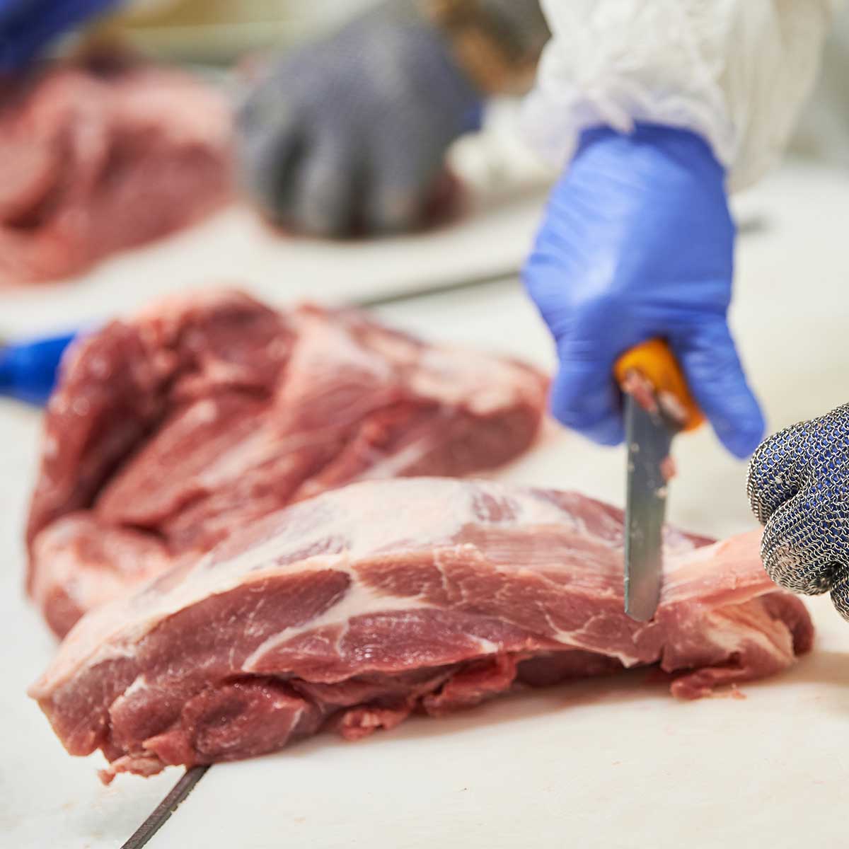 Food & Drink Insurance