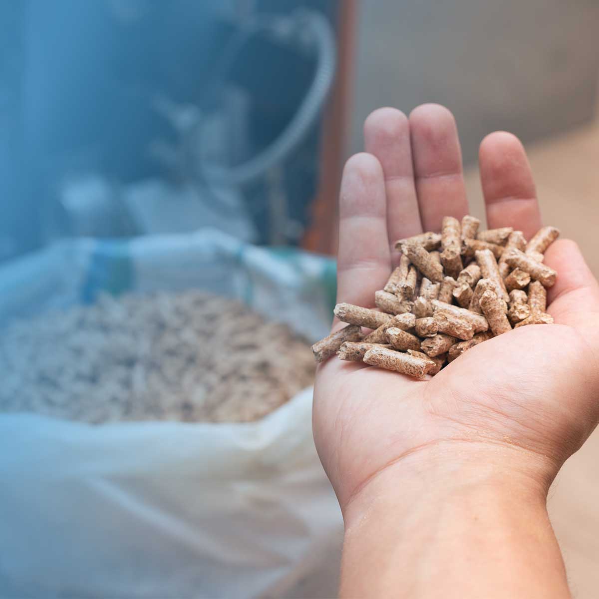 Why insurers are reluctant to cover homes with biomass boilers