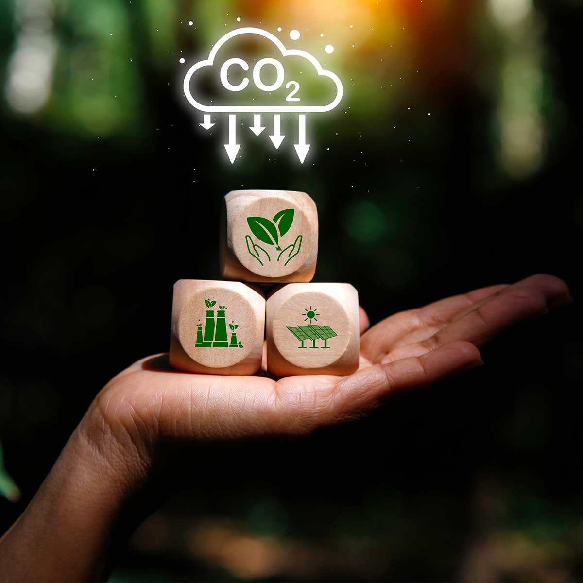 The Role of Insurance in Carbon Credit Markets