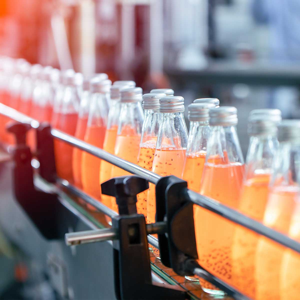 Drink Manufacturing