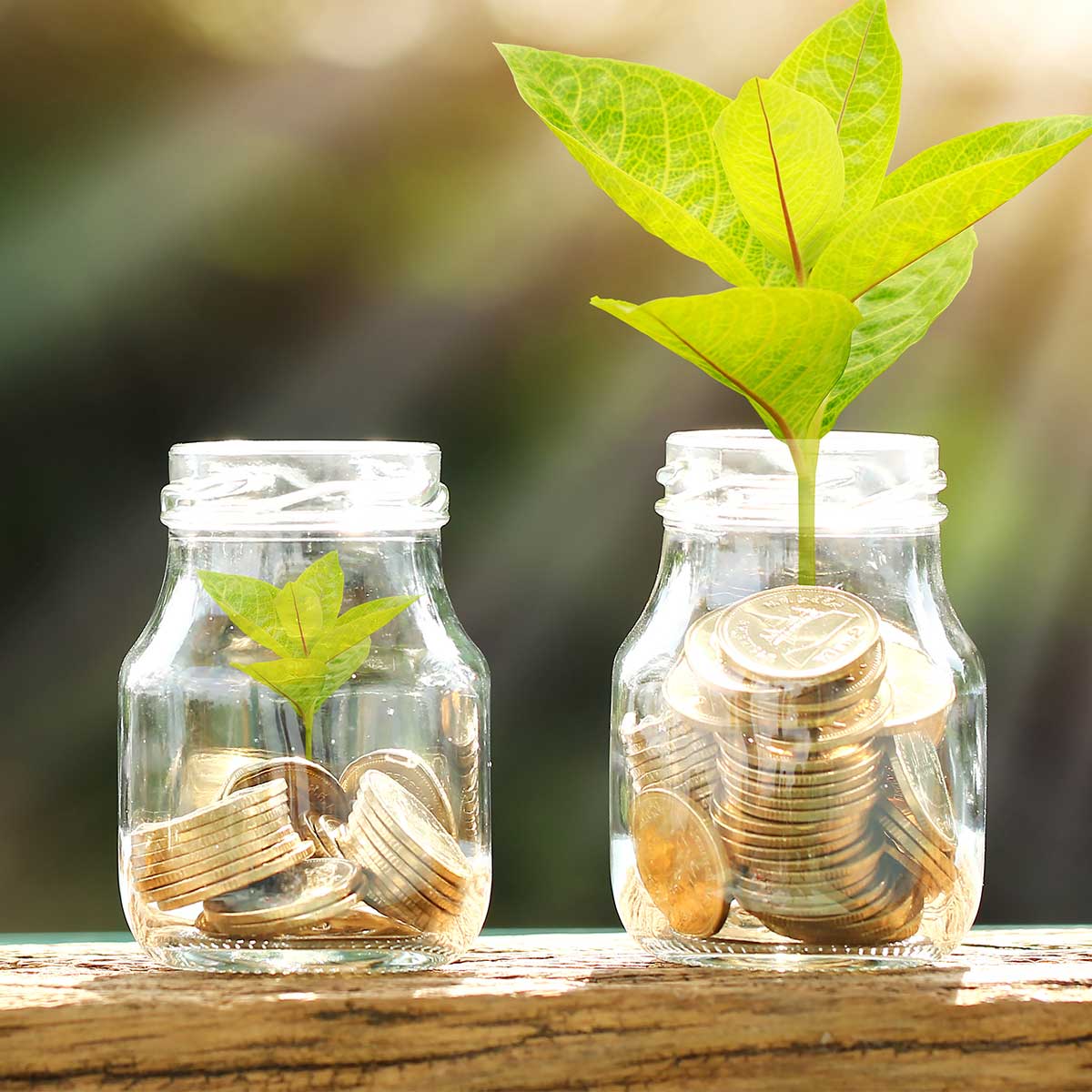 Understanding Trade Credit Insurance Premiums